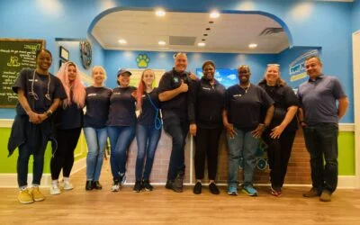 Diverse Hounds Town staff team smiling in their bright