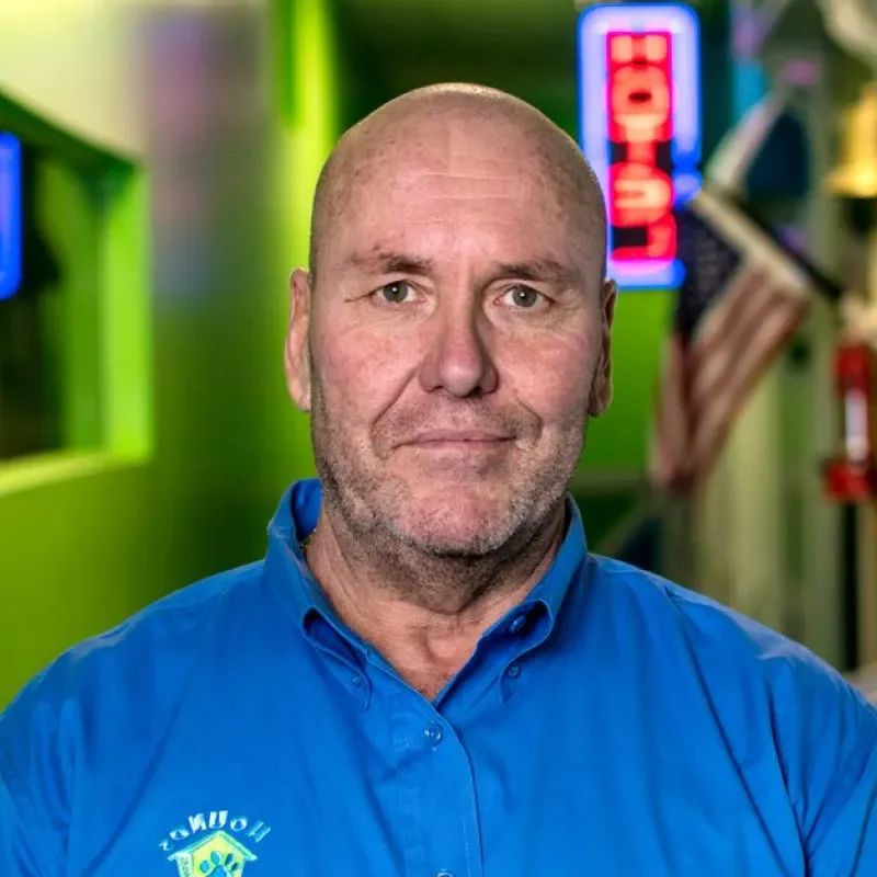 A man with a bald head and a blue shirt stands in a brightly colored dog daycare environment.