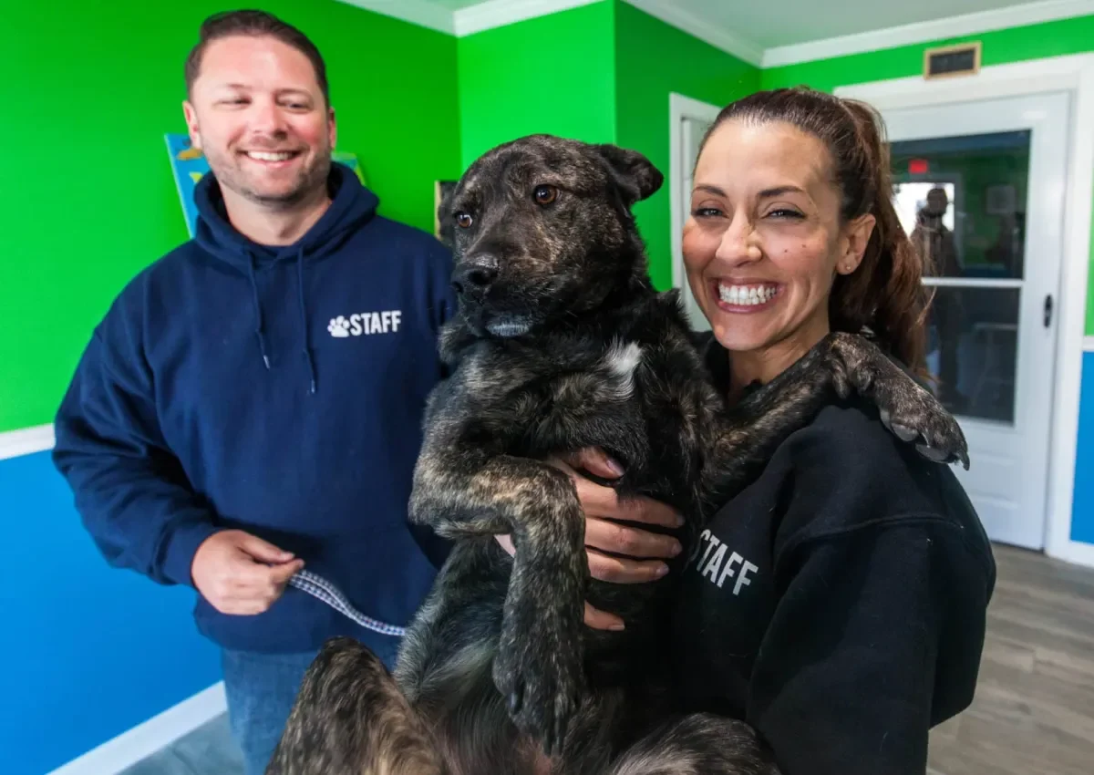 Two staff members smiling while holding a dog in a colorful daycare setting.