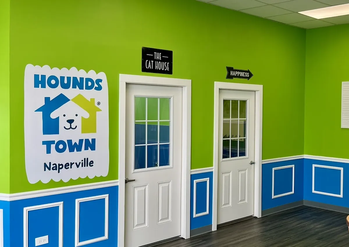 Brightly colored interior of Hounds Town daycare with doors labeled "The Cat House" and "Happiness.